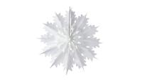 Snowflake Regular White D45cm