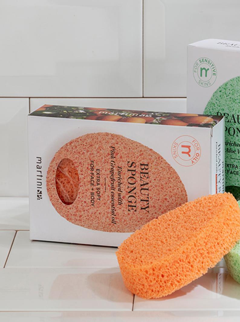 Boxed Beauty Sponge