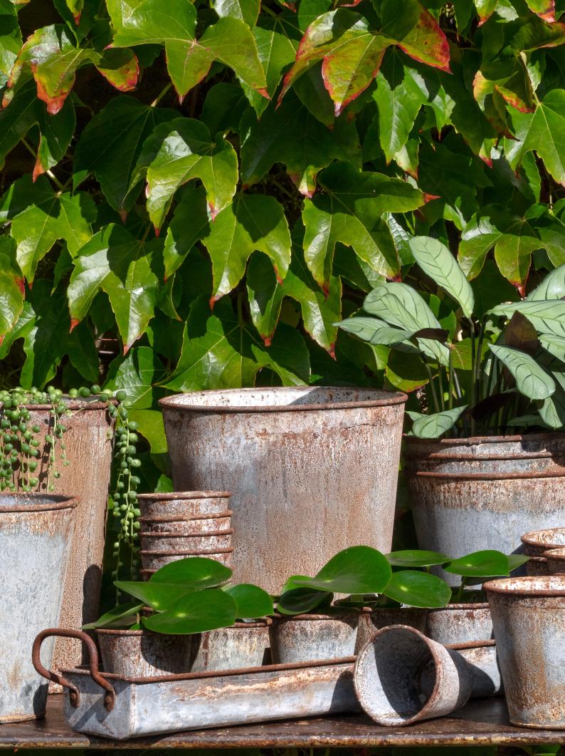 Rusty Zinc Planters & Trough