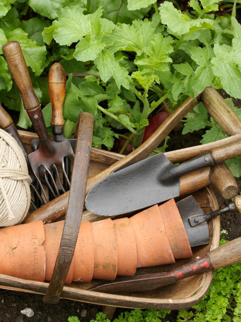 Old Garden Hand Tools